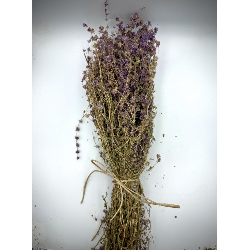  Greek Dried Pennyroyal Mint Bunch ~ Mentha Pulegium ~ Superior Quality 