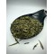 Chinese Sencha Green Tea Loose Leaf - Camellia Sinensis - Superior Quality Herbal Tea