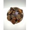 Sun Dried Apricots ~ Prunus armeniaca ~ Superior Quality |No Sugar Added Sun Dried Apricots ~ Prunus armeniaca ~ Superior Quality |No Sugar Added