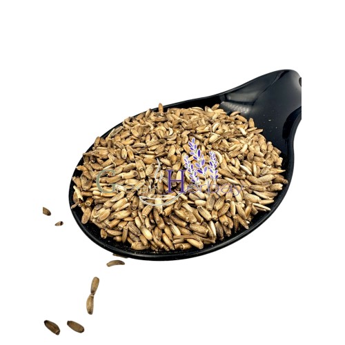 Milk Thistle Seeds ~ Silybum Μarianum ~ Superior Quality Milk Thistle Seeds ~ Silybum Μarianum ~ Superior Quality