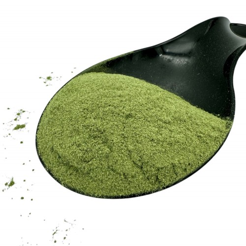 Alfalfa Leaf Ground Powder ~ Medicago Sativa ~ Superior Quality 