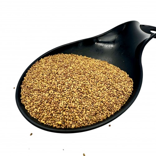 Alfalfa Seeds ~ Medicago Sativa ~ Superior Quality 