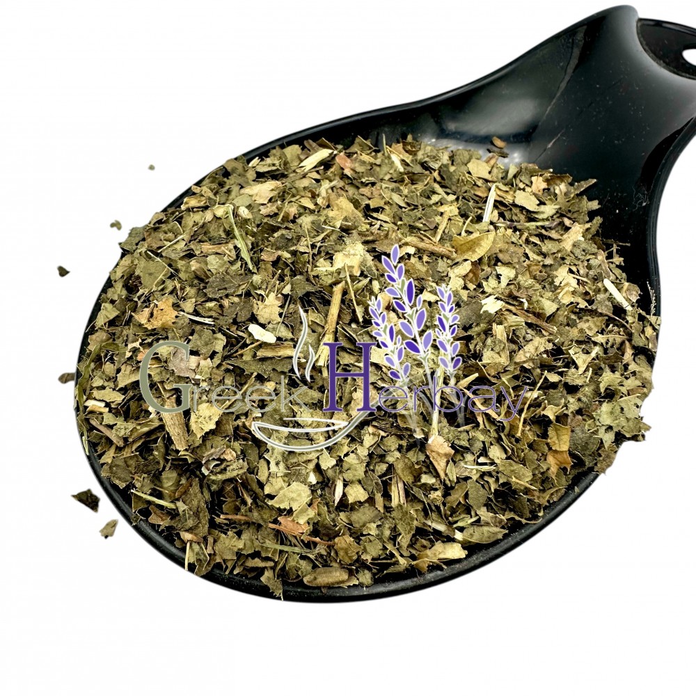 Witch Hazel Dried Herb ~ Hamamelis Virginiana ~ Superior Quality 