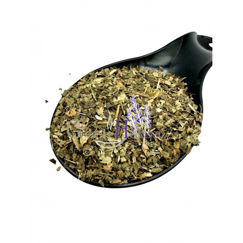 Witch Hazel Dried Herb ~ Hamamelis Virginiana ~ Superior Quality 