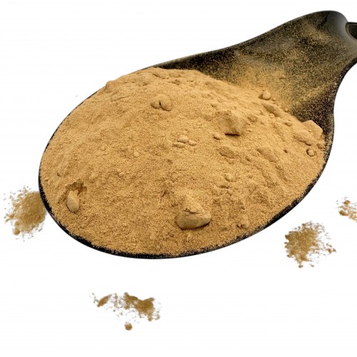 Amla Berries Extract Powder ~ Emblica Officinalis ~ Superior Quality 