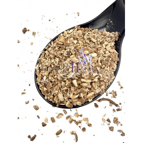 Dried Burdock Root ~ Arctium Lappa ~ Superior Quality  Dried Burdock Root ~ Arctium Lappa ~ Superior Quality