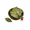 Greek Dried Bay Leaves - Whole Handpicked Laurel Leaves Superior Quality Laurus Nobilis - Daphne Herbs&Spices