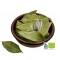 100% Greek Organic Dried Bay Leaves - Whole Handpicked Laurel Leaves Superior Quality Laurus Nobilis - Daphne Herb{Certified Bio Product}