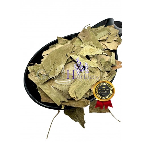 Ginkgo Biloba Dried Leaves ~ Superior Quality ~