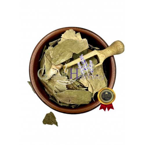 Ginkgo Biloba Dried Leaves ~ Superior Quality ~