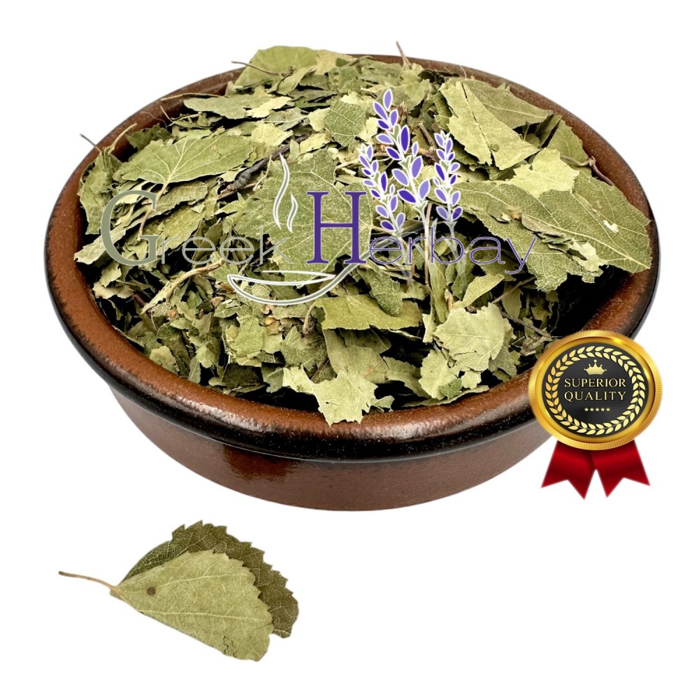 100% Common Birch Loose Leaf Herbal Tea - Betula Pendula - Superior Quality Herbs&Spices