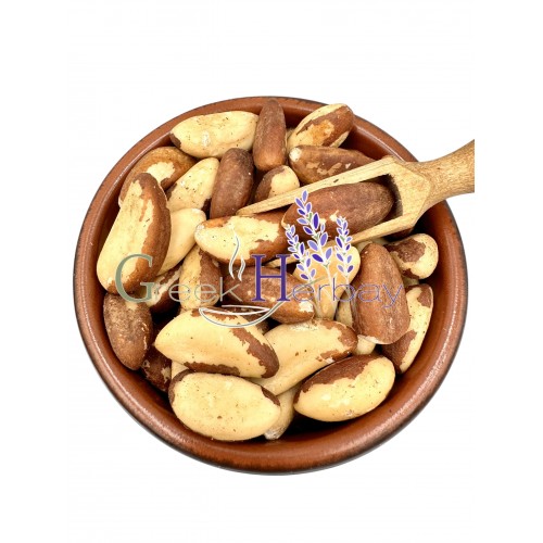 Brazil Nuts ~ Bertholletia excelsa ~ Superior Quality