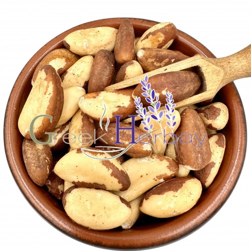 Brazil Nuts ~ Bertholletia excelsa ~ Superior Quality