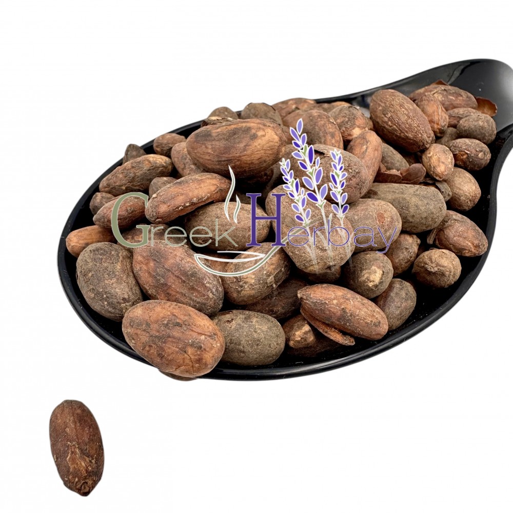 Raw Criollo Cacao Beans ~ Theobroma Cacao ~ Superior Quality Raw Criollo Cacao Beans ~ Theobroma Cacao ~ Superior Quality