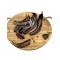 Greek Carob Pods ~ Ceratonia Siliqua ~ Superior Quality 