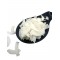 Coconut Flakes / Chips ~ Cocos Nucifera ~ Superior Quality Coconut Flakes / Chips ~ Cocos Nucifera ~ Superior Quality