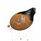 Coconut Palm Sugar - Brown Coconut Sugar ~ Superior Quality ~ Coconut Palm Sugar - Brown Coconut Sugar ~ Superior Quality ~