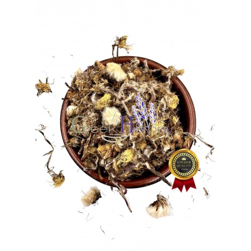 Coltsfoot Dried Flowers ~ Tussilago Farfara ~ Superior Quality Coltsfoot Dried Flowers ~ Tussilago Farfara ~ Superior Quality