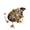 Coltsfoot Dried Flowers ~ Tussilago Farfara ~ Superior Quality Coltsfoot Dried Flowers ~ Tussilago Farfara ~ Superior Quality