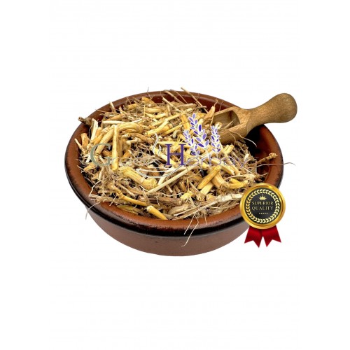 Couch Grass Couchgrass Root herb ~ Agropyrum Repens ~ Superior Quality 