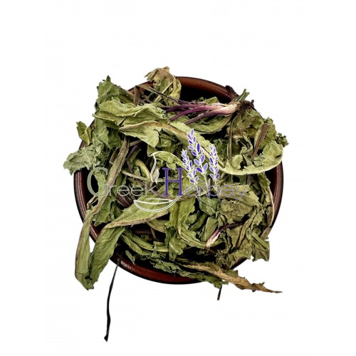 Dandelion Leaves ~ Taraxacum ~ Superior Quality 