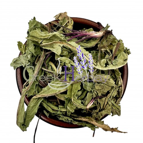 Dandelion Leaves ~ Taraxacum ~ Superior Quality 