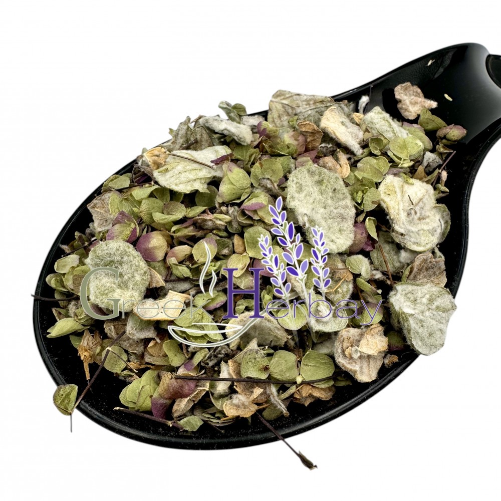 Greek Dittany Dried Leaves Tea ~ Origanum Dictamnus ~ Superior Quality 
