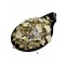Greek Dittany Dried Leaves Tea ~ Origanum Dictamnus ~ Superior Quality 