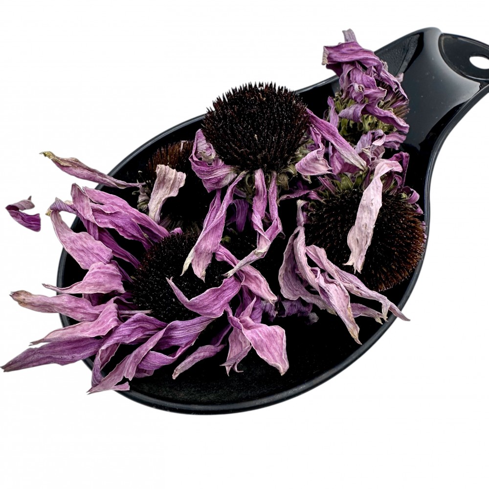 Greek Echinacea Flowers ~ Echinacea Purpurea ~ Superior Quality Greek Echinacea Flowers ~ Echinacea Purpurea ~ Superior Quality