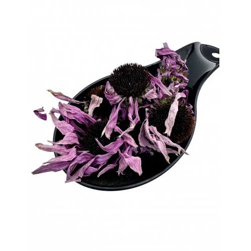 Greek Echinacea Flowers ~ Echinacea Purpurea ~ Superior Quality  Greek Echinacea Flowers ~ Echinacea Purpurea ~ Superior Quality