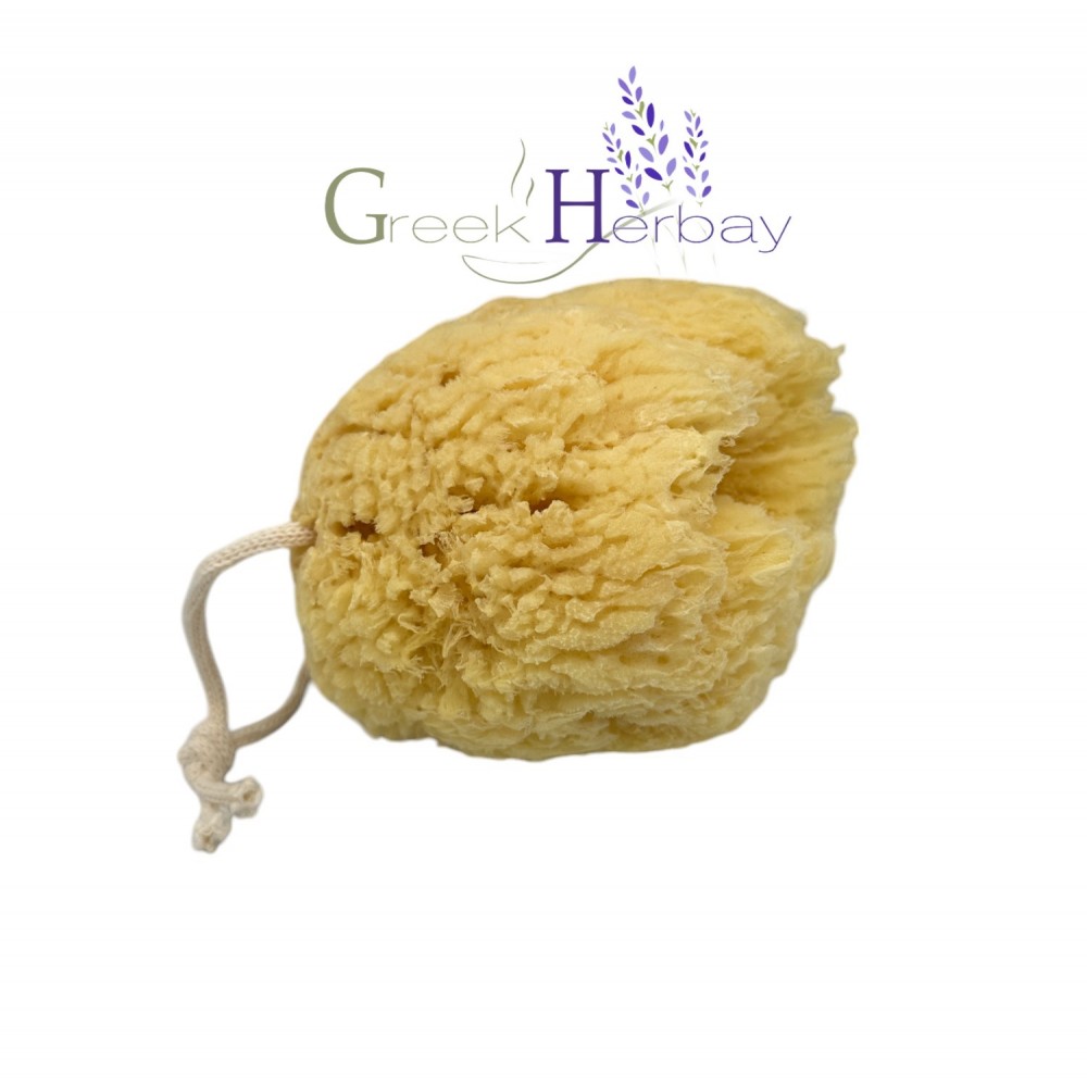 Natural Dried Greek Sea Sponge 5.0"-5.50" inches(12-14cm) ~ Kalymnos Bath Shower Mediterranean | Superior Quality Natural Dried Greek Sea Sponge 5.0"-5.50" inches(12-14cm) ~ Kalymnos Bath Shower Mediterranean | Superior Quality