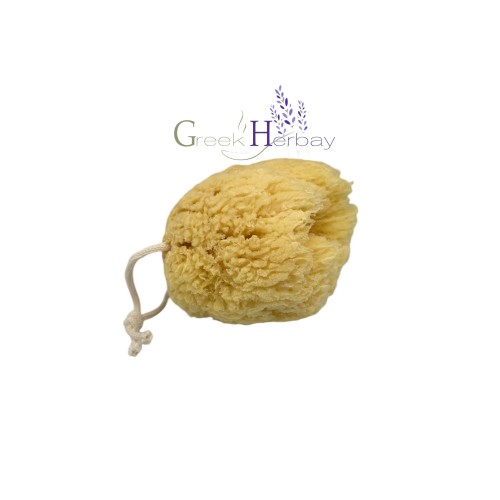 Natural Dried Greek Sea Sponge 5.0"-5.50" inches(12-14cm) ~ Kalymnos Bath Shower Mediterranean | Superior Quality 