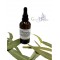 Natural Greek Eucalyptus Essential Oil ~ Eucalyptus Globulus ~ Superior Quality