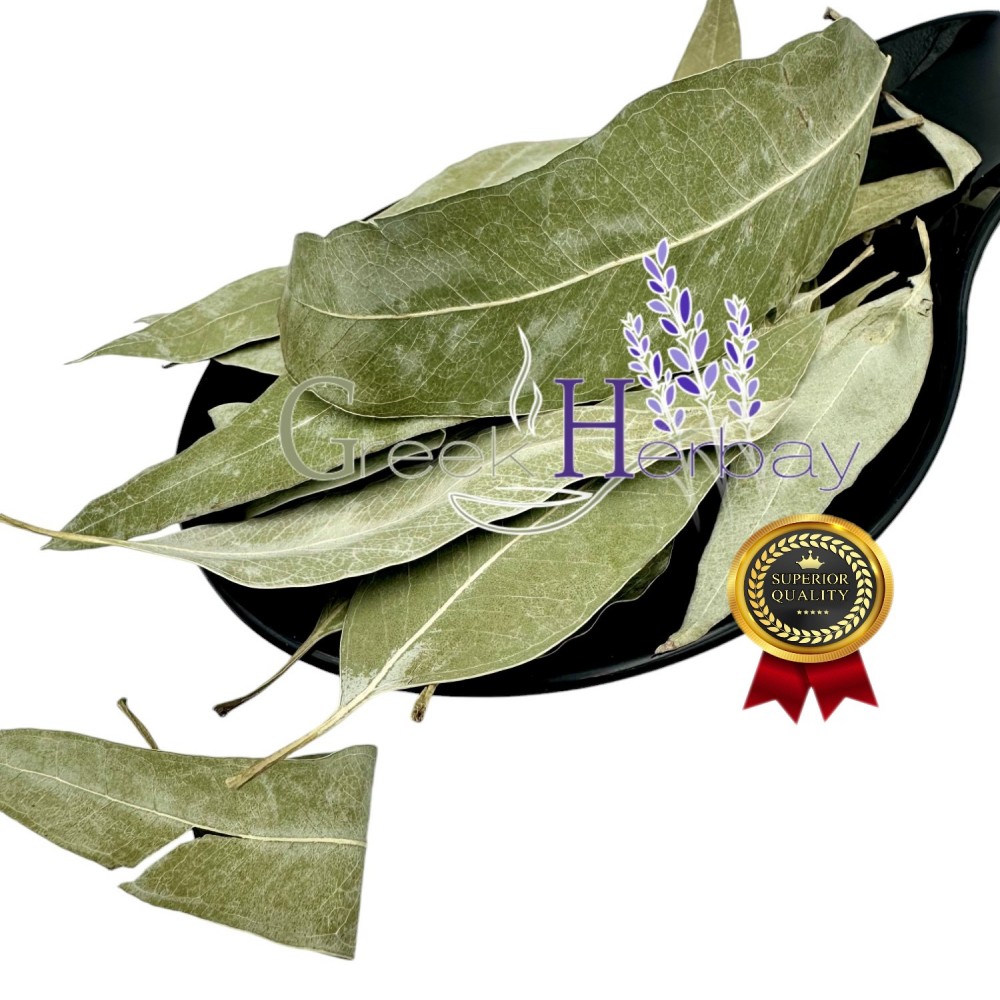 Eucalyptus Dried Leaves ~ Eucalyptus Globulus ~ Superior Quality 