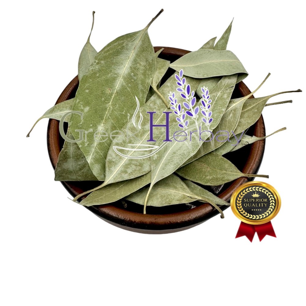 Eucalyptus Dried Leaves ~ Eucalyptus Globulus ~ Superior Quality 