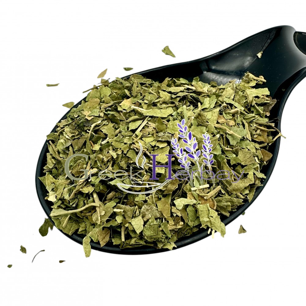 Gymnema Sylvestre Dried Leaves ~ Superior Quality ~ Gymnema Sylvestre Dried Leaves ~ Superior Quality ~