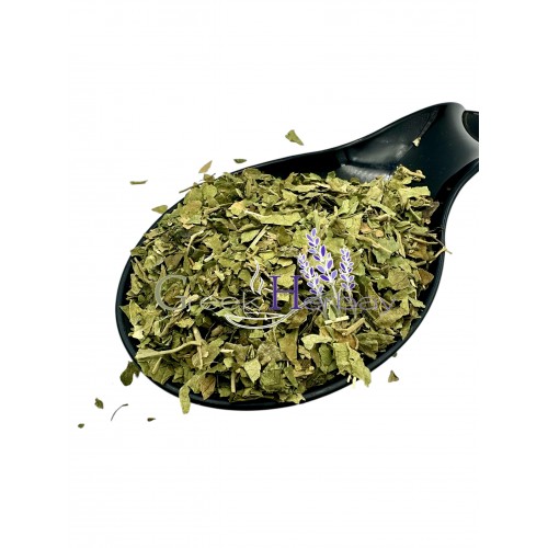 Gymnema Sylvestre Dried Leaves ~ Superior Quality ~