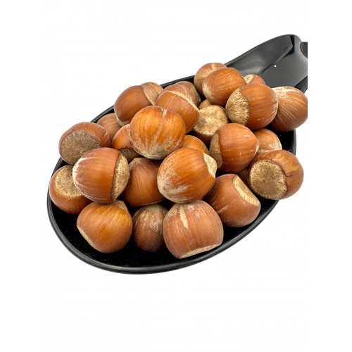 Hazelnuts in Shell ~ Corylus Avellana ~ Superior Quality