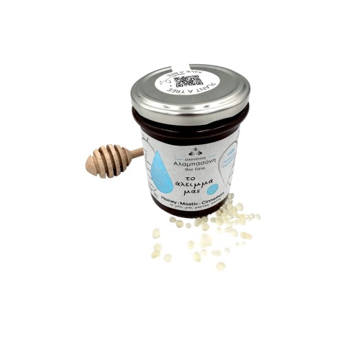 Natural Greek Honey Wildflower & Forest Worth Spread Mastic / Cinnamon ~ Superior Quality (Awarded)