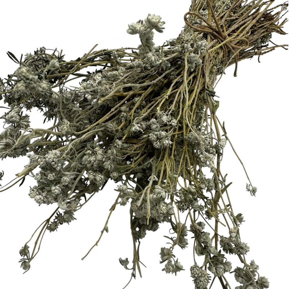 Whole Bunch Hyssop Herb ~ Hyssopus Officinalis ~ Superior Quality 