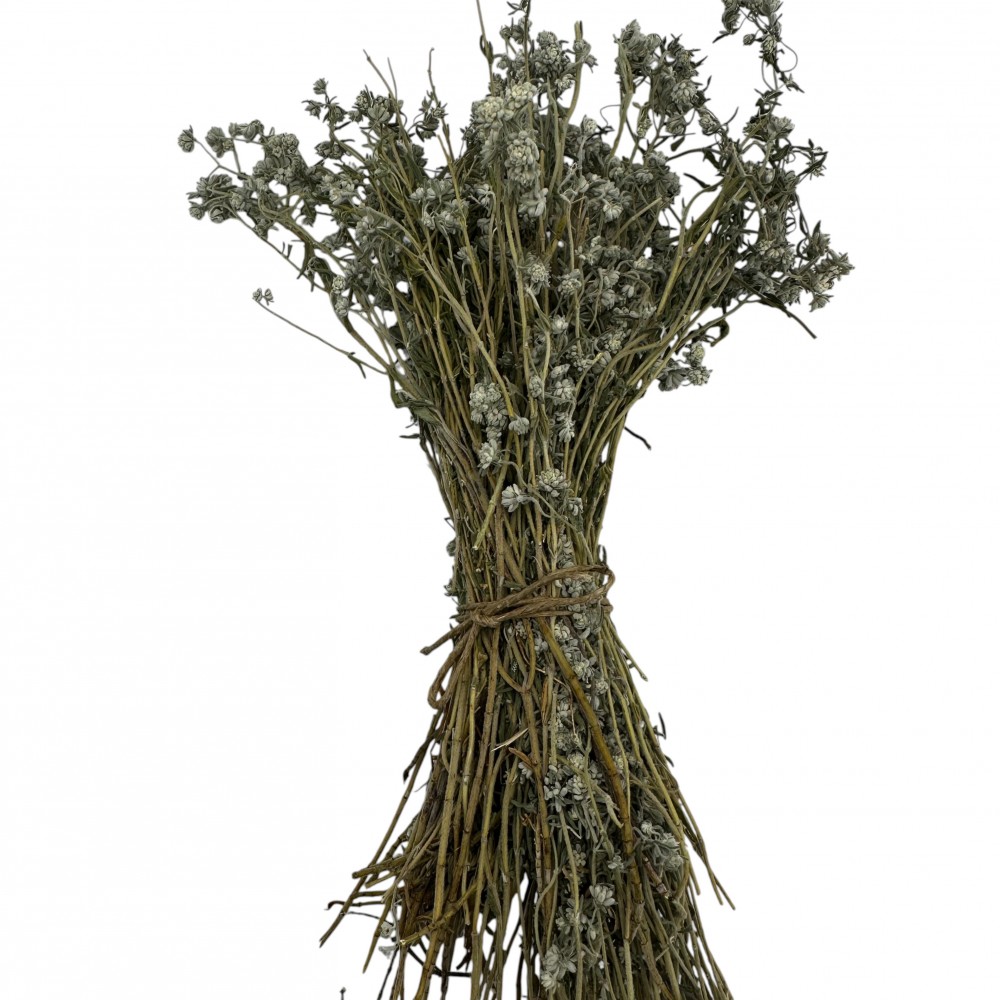 Whole Bunch Hyssop Herb ~ Hyssopus Officinalis ~ Superior Quality 