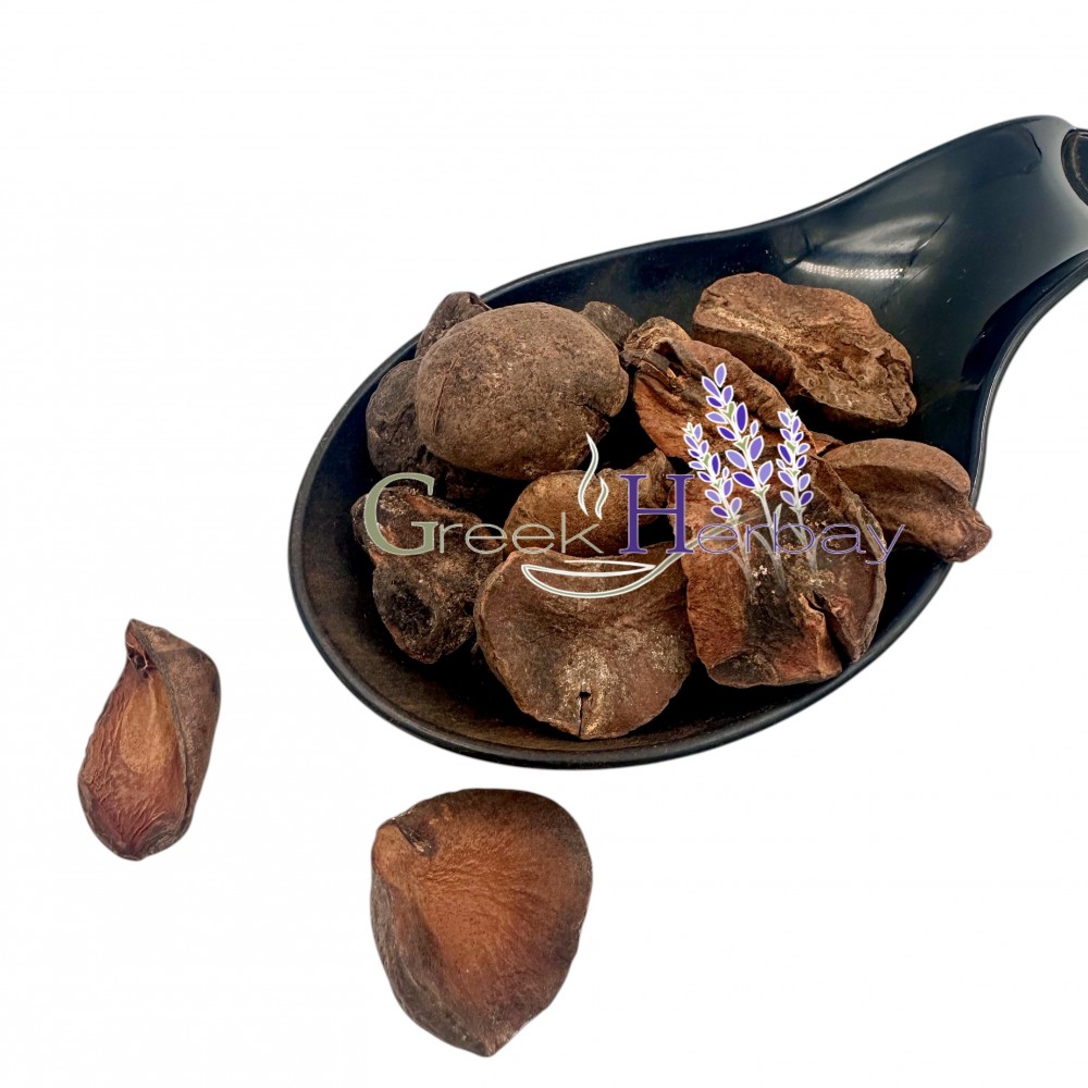 Dried Kola Nut Halves Cola Nut ~ Cola Nitida ~ Superior Quality Dried Kola Nut Halves Cola Nut ~ Cola Nitida ~ Superior Quality