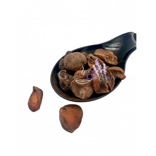 Dried Kola Nut Halves Cola Nut ~ Cola Nitida ~ Superior Quality 