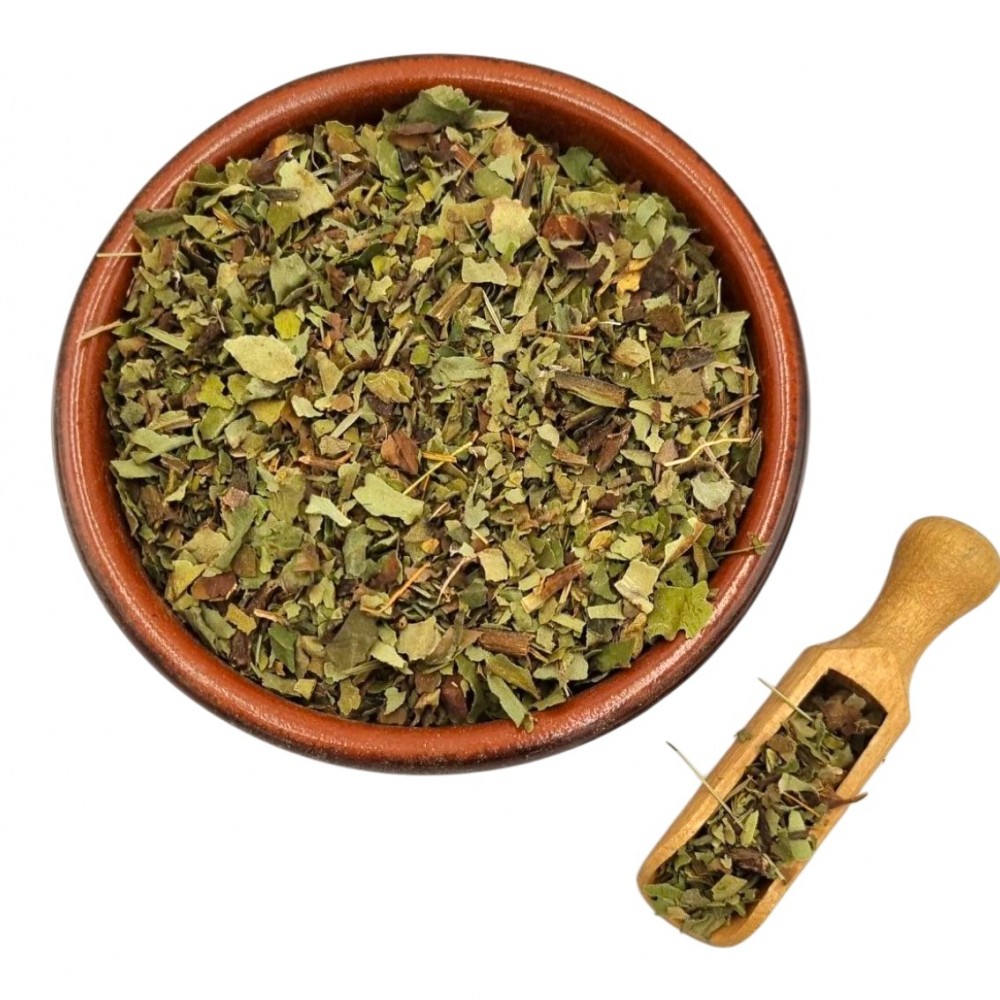 Lungwort Herb ~ Pulmonaria Officinalis ~ Superior Quality