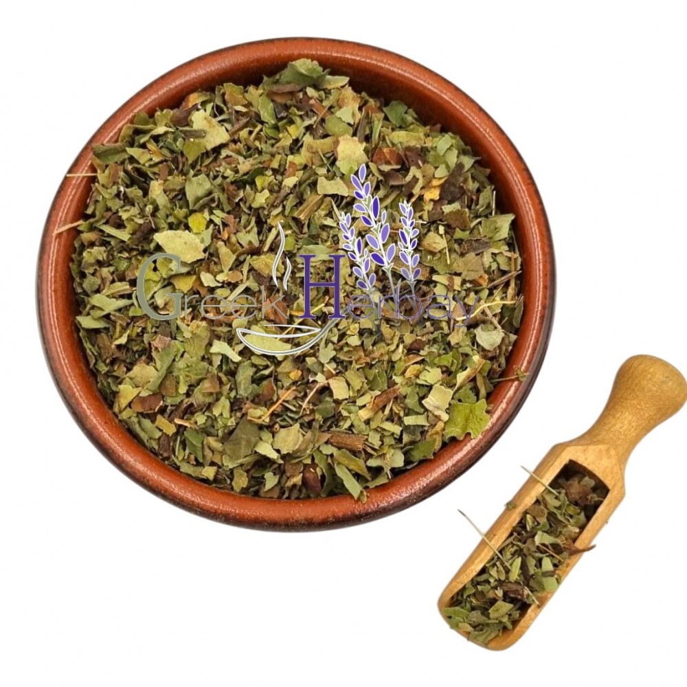 Lungwort Herb ~ Pulmonaria Officinalis ~ Superior Quality