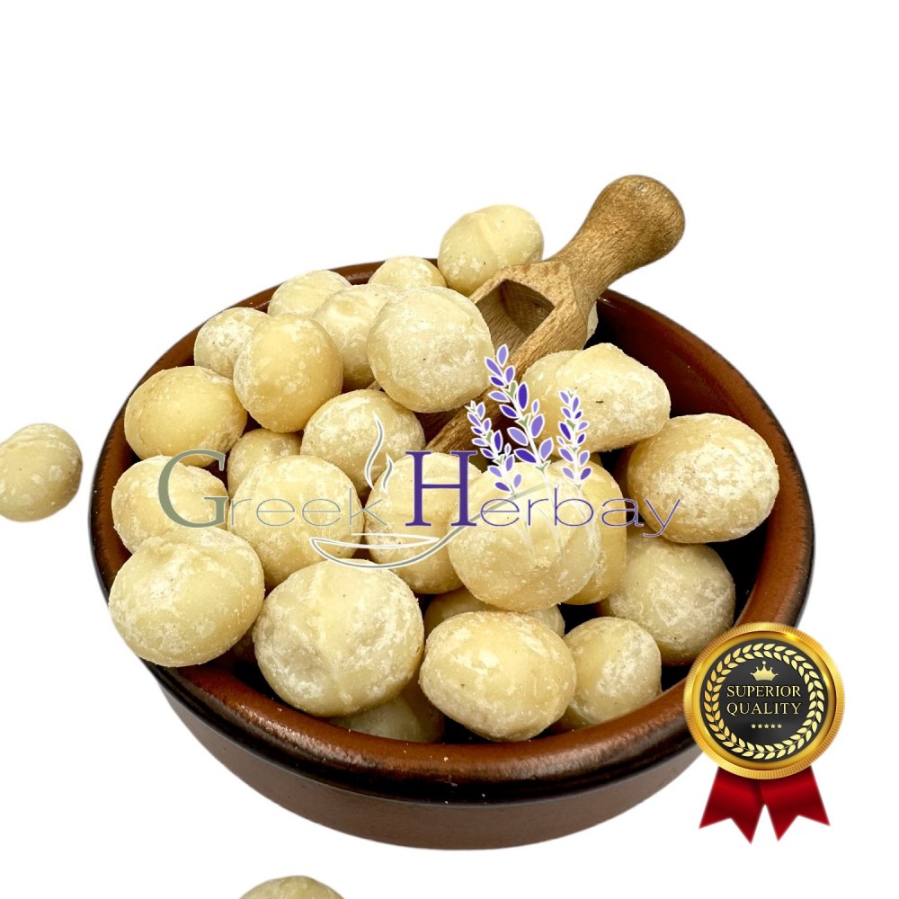 100% Dried Raw Macadamia Nuts - Macadamia Metraphylla - Unsalted / Unroasted - Superior Healthy Snack