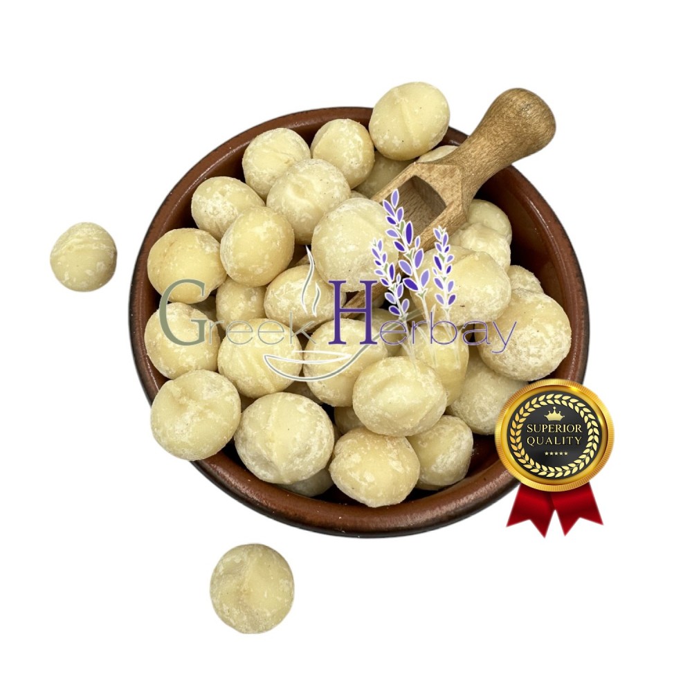 100% Dried Raw Macadamia Nuts - Macadamia Metraphylla - Unsalted / Unroasted - Superior Healthy Snack