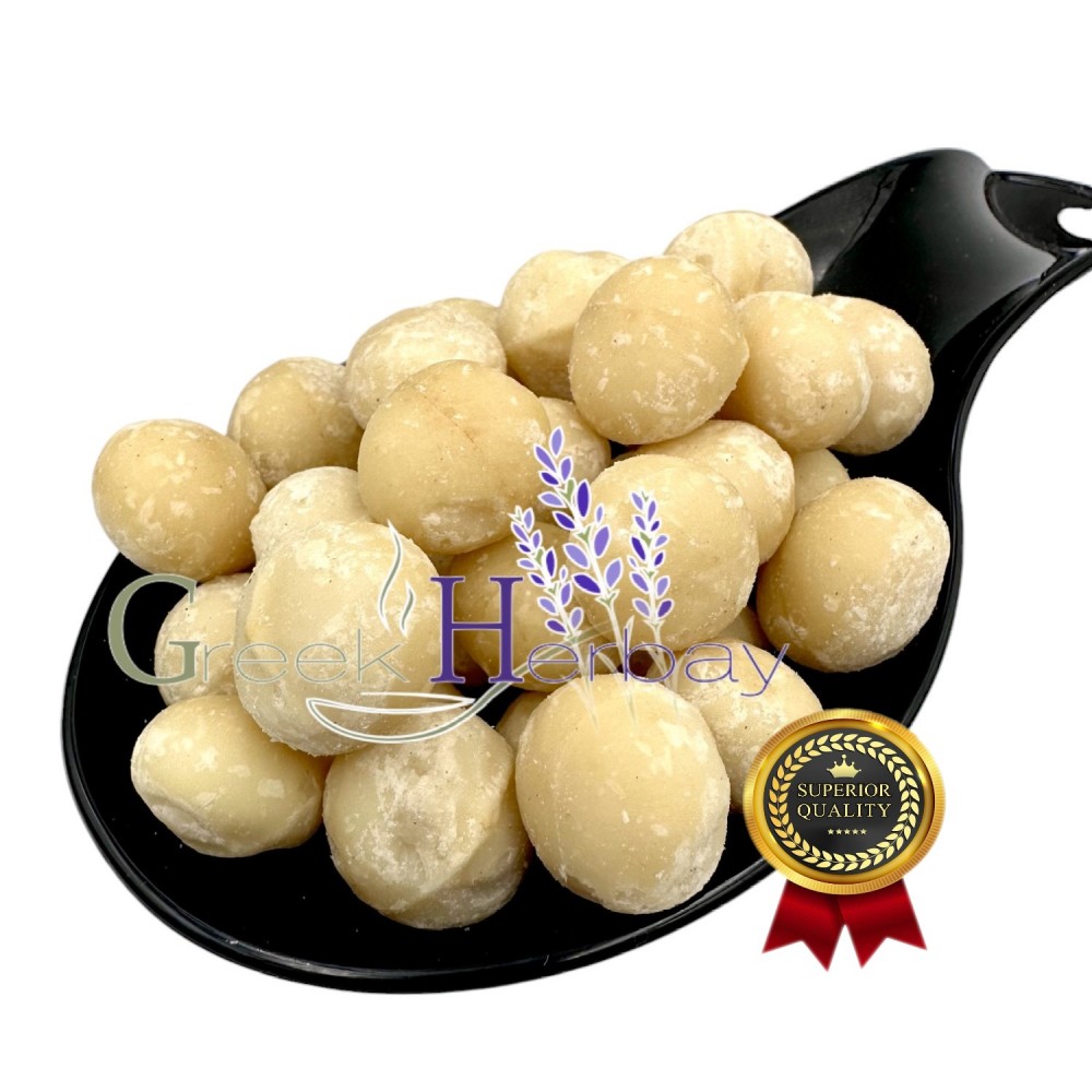 100% Dried Raw Macadamia Nuts - Macadamia Metraphylla - Unsalted / Unroasted - Superior Healthy Snack