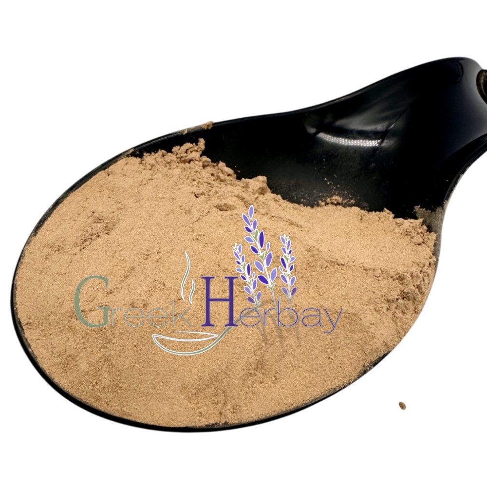 Maitake Mushroom Powder ~ Grifola Frondosa ~ Natural Supplement & Superfood