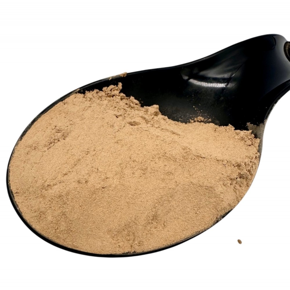 Maitake Mushroom Powder ~ Grifola Frondosa ~ Natural Supplement & Superfood